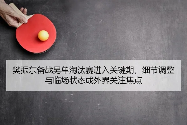 樊振东备战男单淘汰赛进入关键期，细节调整与临场状态成外界关注焦点 | Kaiyuan Games